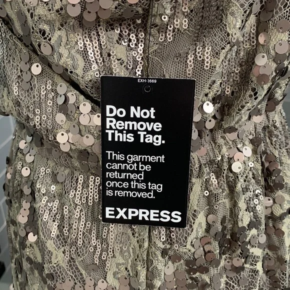 Express Large Pewter Dress - Picture 4 of 6